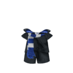 Blue Wizard Halloween Costume
