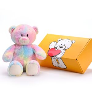 Rainbow Teddy