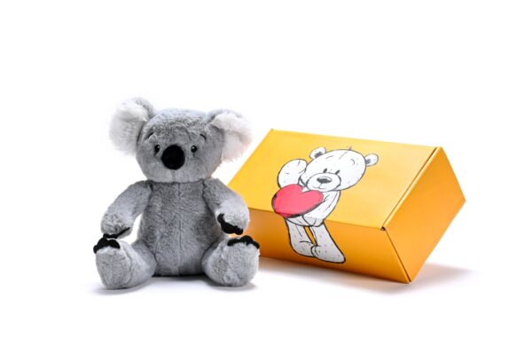 a stuffed Koala soft toy next to a box